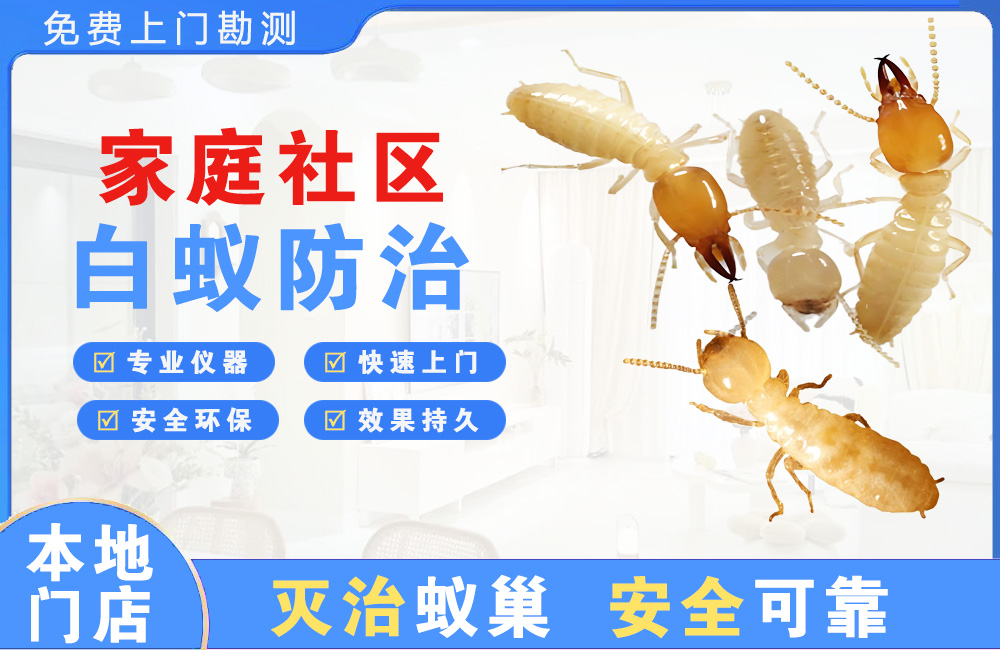 北碚家庭社区白蚁防治