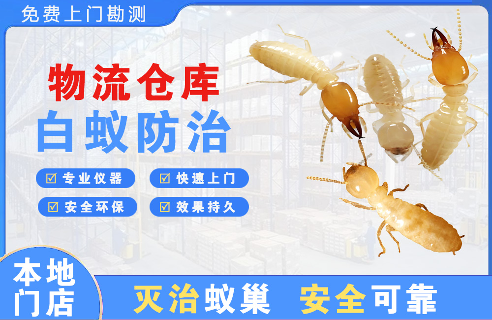 北碚物流仓库白蚁防治