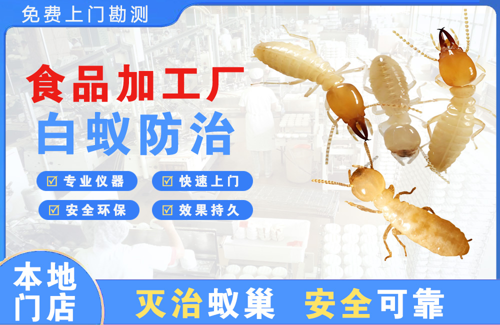 北碚食品加工厂白蚁防治