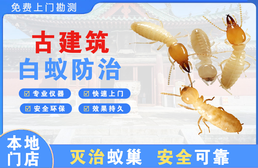 北碚古建筑白蚁防治