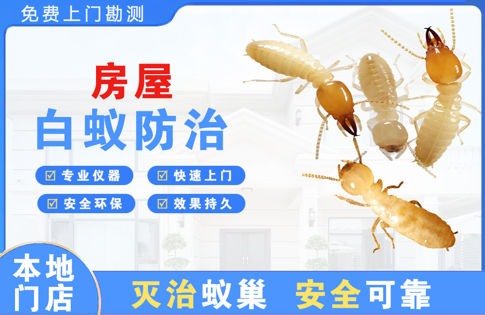 北碚房屋白蚁防治