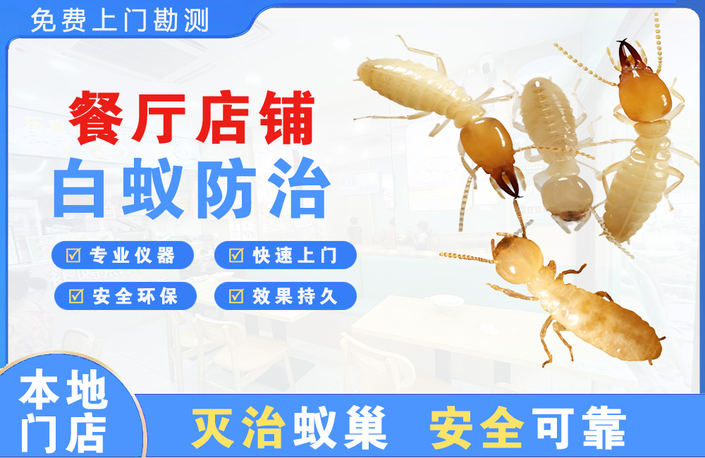 北碚餐厅店铺白蚁防治